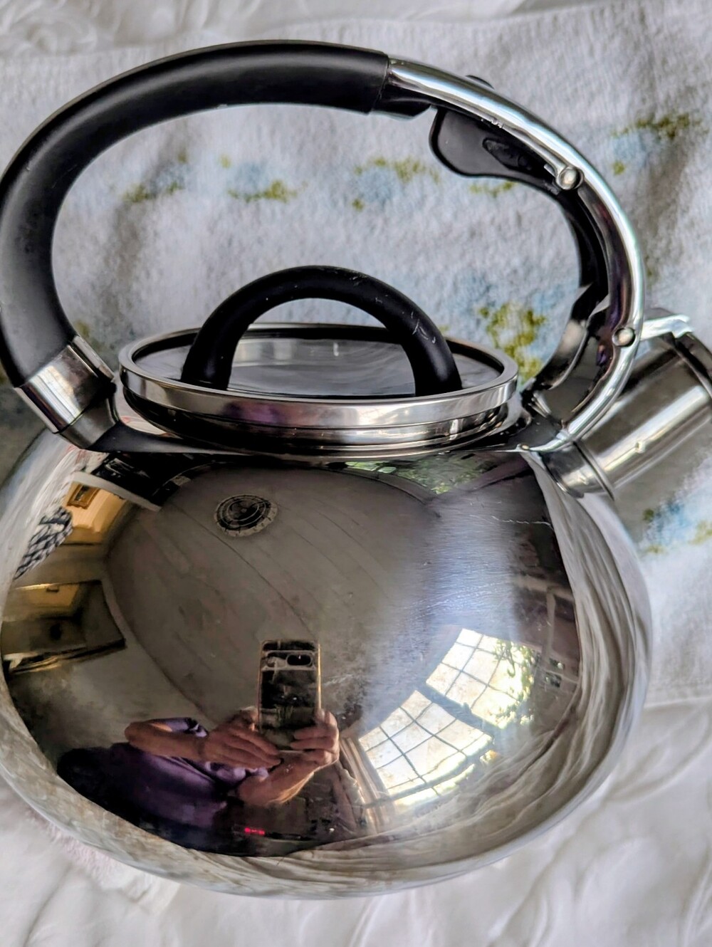 Brandani Stainless Steel Whistling Tea Kettle  Induction Ready